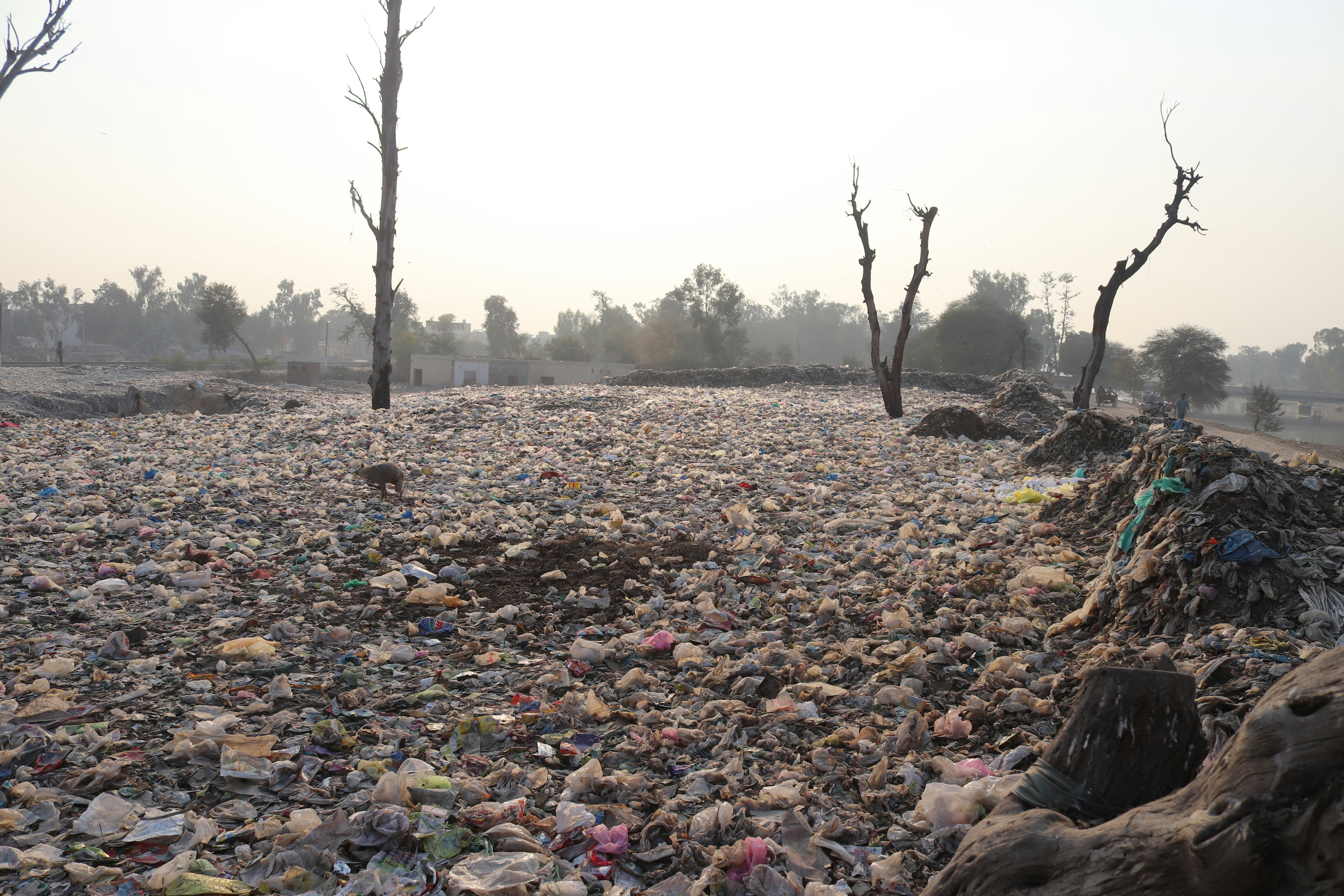 Vertedero de residuos plásticos en campo con árboles secos, ejemplo de los desafíos ambientales que CIBRUC ayuda a resolver
